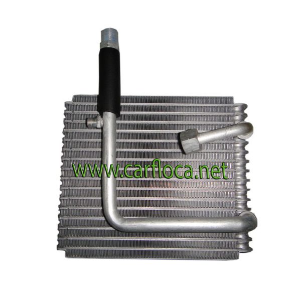 EVAP.FORD LASER 98-01 F134 Tpo.ROSCA (1)