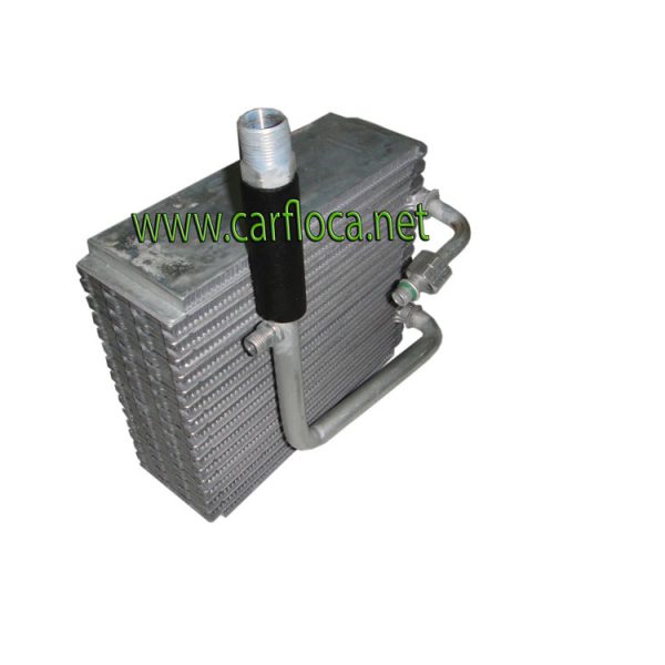 EVAP.FORD LASER 98-01 F134 Tpo.ROSCA (2)