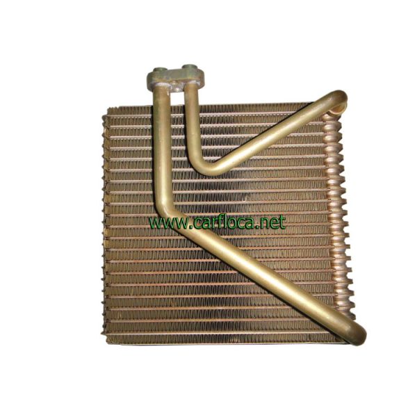 EVAP.GM AVEO 04-06 (1)