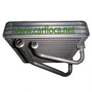 EVAP.GM AVEO 11-13 (2)