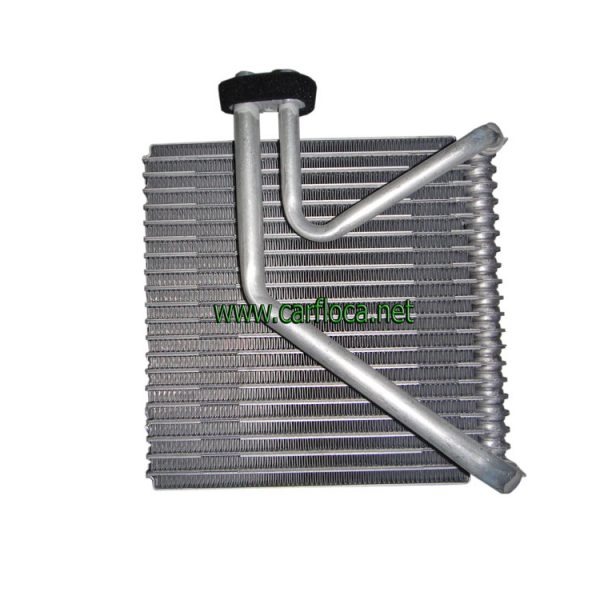 EVAP.GM AVEO LS 09-10 (1)