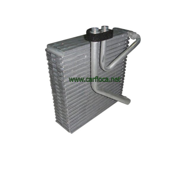 EVAP.GM AVEO LS 09-10 (3)