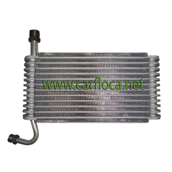 EVAP.GM CENTURY BUICK F.I 91-93 F-12 (1)