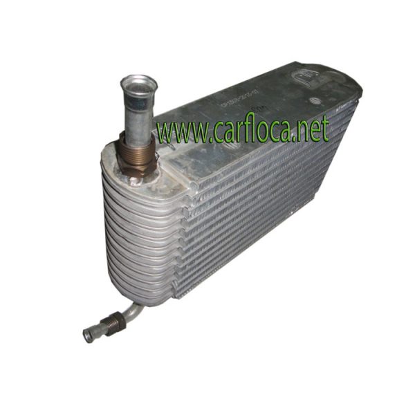 EVAP.GM CENTURY BUICK F.I 91-93 F-12 (2)