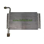 EVAP.GM CENTURY BUICK F.I 94-95 F134 (1)