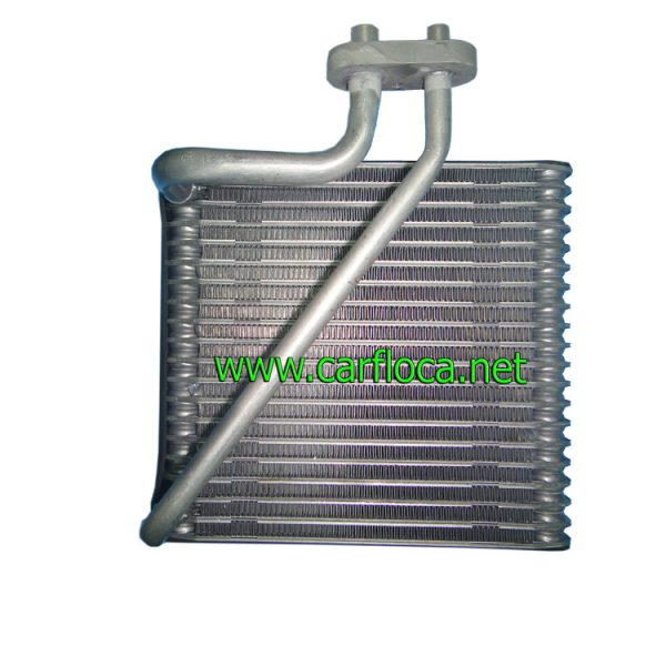 EVAP.GM OPTRA LIMITED 06-08 (1)