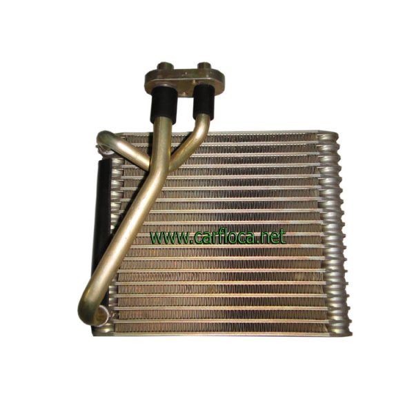 EVAP.GM SPARK 07-08 (1)