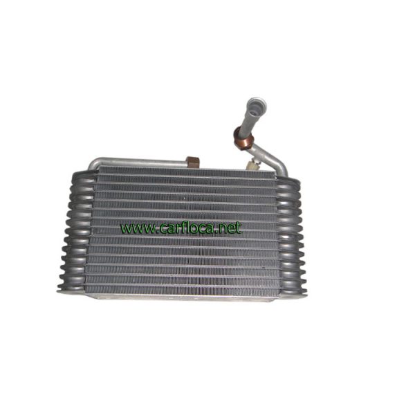 EVAP.GM CORSICA 94-98 T ROSCA (1)