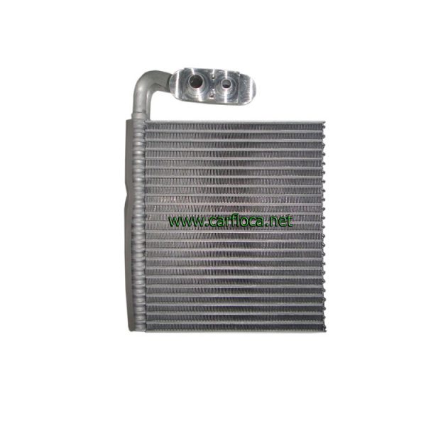 EVAP.GM MALIBU 04-06 F134 ASIA (1)