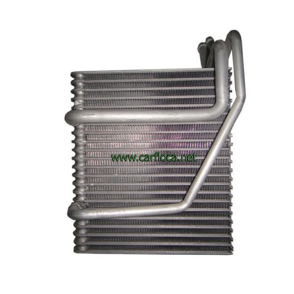 EVAP.RENAULT SCENIC (1)