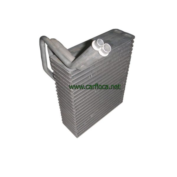 EVAP.RENAULT SCENIC (2)