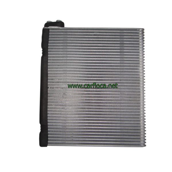 EVAP.TOYOTA 4RUNNER 03-08 ASIA (1)