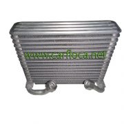 EVAP.TOYOTA TERIOS 04-07(2)