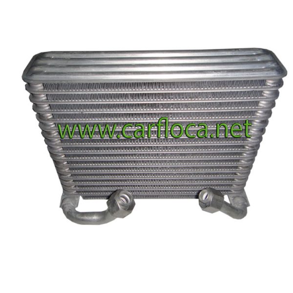 EVAP.TOYOTA TERIOS 04-07(2)