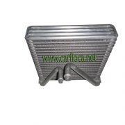 EVAP.VOLKSWAGEN FOXCROSSFOX 07-10 (1)