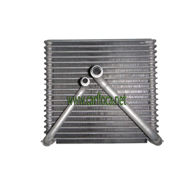 EVAP.VOLKSWAGEN FOXCROSSFOX 07-10 (2)