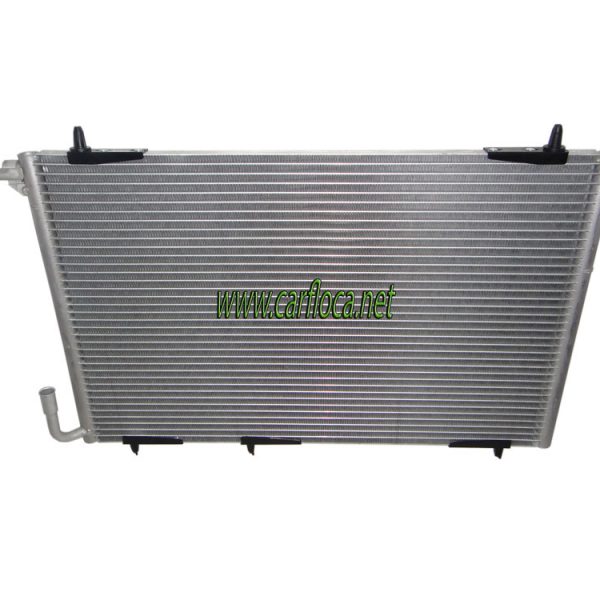 COND.AUT PEUGEOT 206 (2)