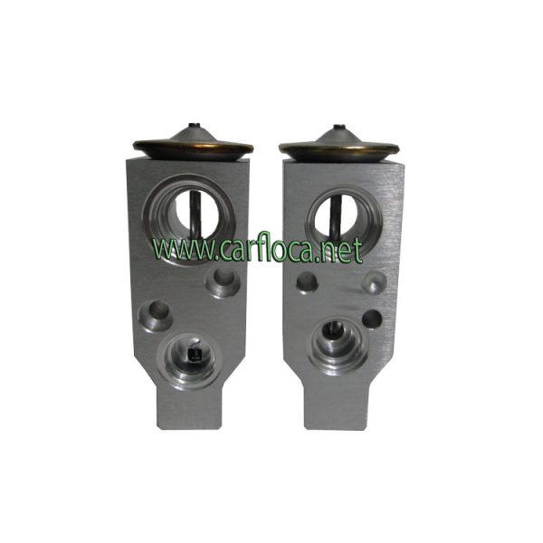 VALV.EXP.A BLOCK GM OPTRA 06 (1)