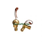 VALV.EXP.A DAEWOO MATIZ (1)