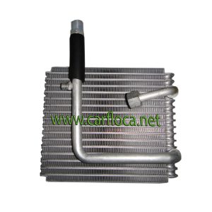 EVAP.FORD LASER 98-01 F134 Tpo.ROSCA (1)