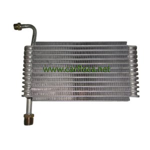 EVAP.GM CENTURY BUICK F.I 94-95 F134 (1)