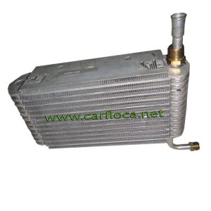 EVAP.GM CENTURY BUICK F.I 94-95 F134 (2)