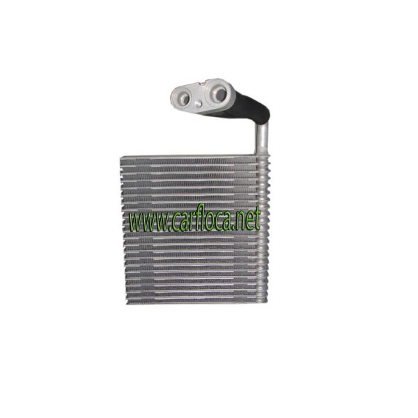 EVAP.FORD FOCUS 09-11 (1)