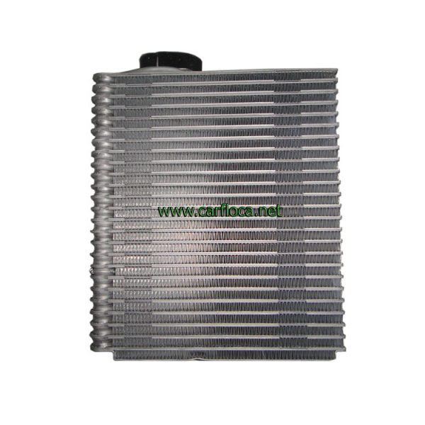 EVAP.GM GRAND VITARA XL-7 03-06 Delantero (1)