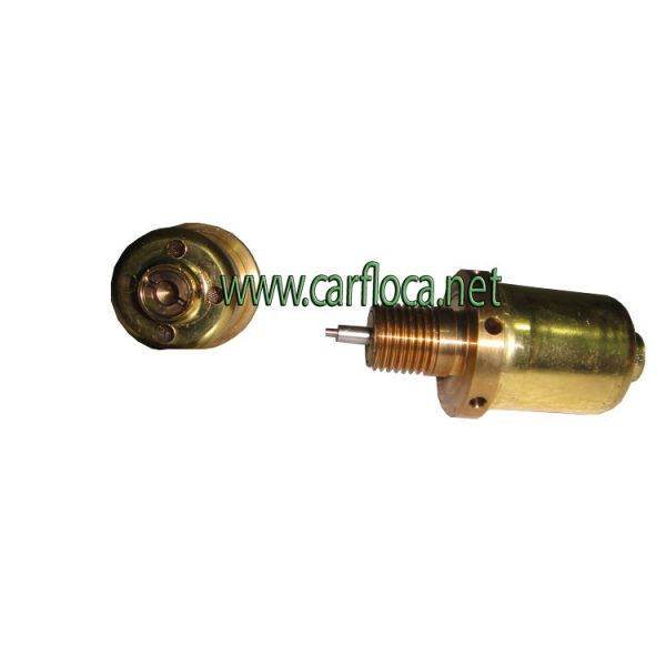 VALV.A.CONTROL VW RENAULT POA (1)