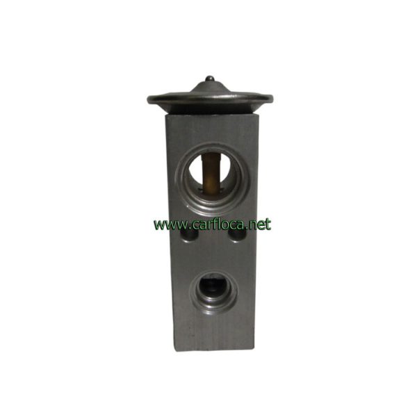 VALV.EXP.A BLOCK DAEWOO LANOS-NUBIRA (2)