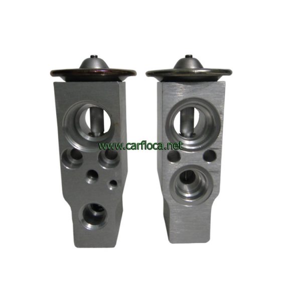 VALV.EXP.A BLOCK NISSAN SENTRA-LUV DMAX (1)