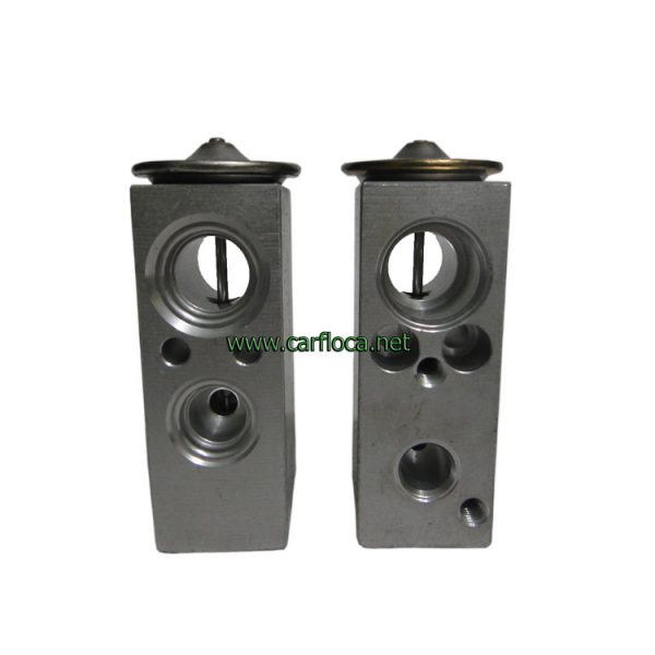 VALV.EXP.A BLOCK RENAULT LOGAN 05-07 (1)