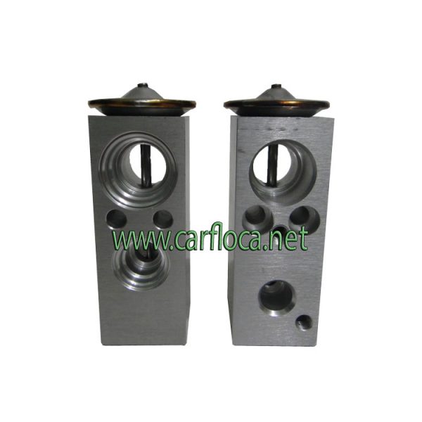 VALV.EXP.A BLOCK RENAULT LOGAN 08 (1)