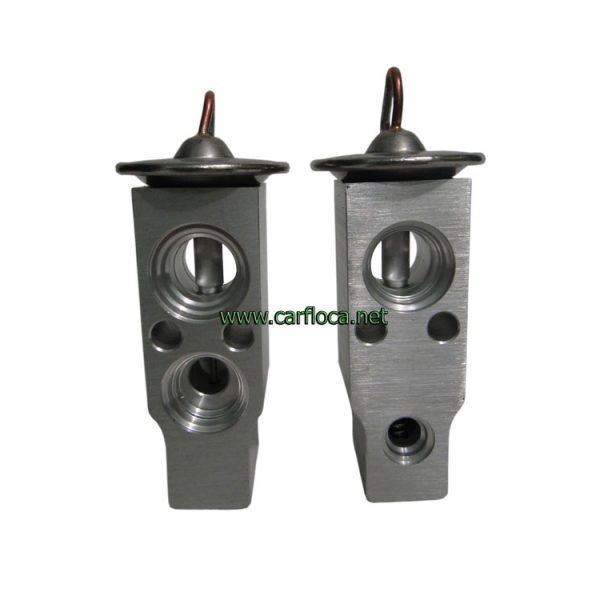 VALV.EXP.A BLOCK TOYOTA F-12 (1)